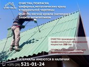 Очистка и покраска крыш в городе Минске